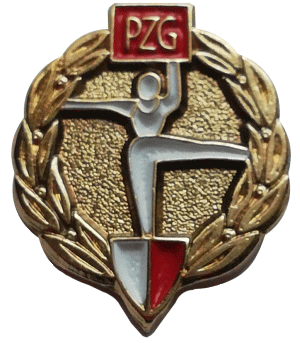Hyncman odznaka PZG